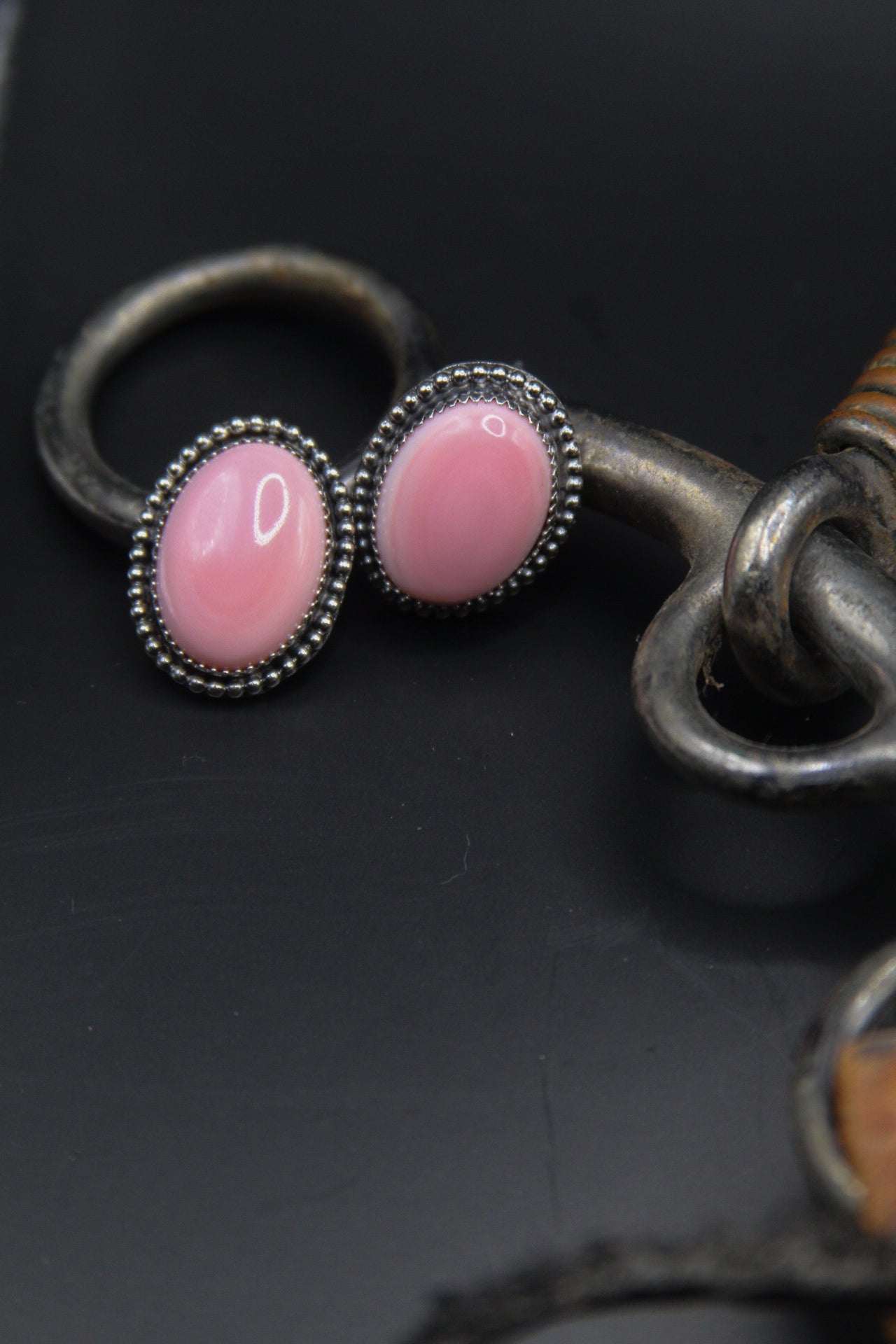 Queen conch stud earrings