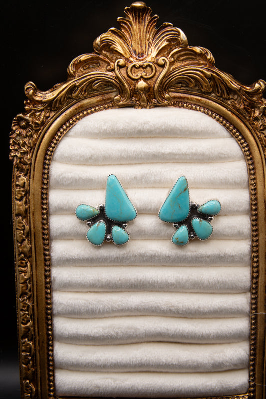 Sonoran funky earrings